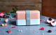 Bento Box MONBENTO Original Tropical