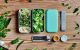 MONBENTO Original green Lagoon szczelny lunchbox