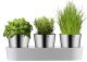 WMF Zestaw 3 doniczek na zioła, Gourmet